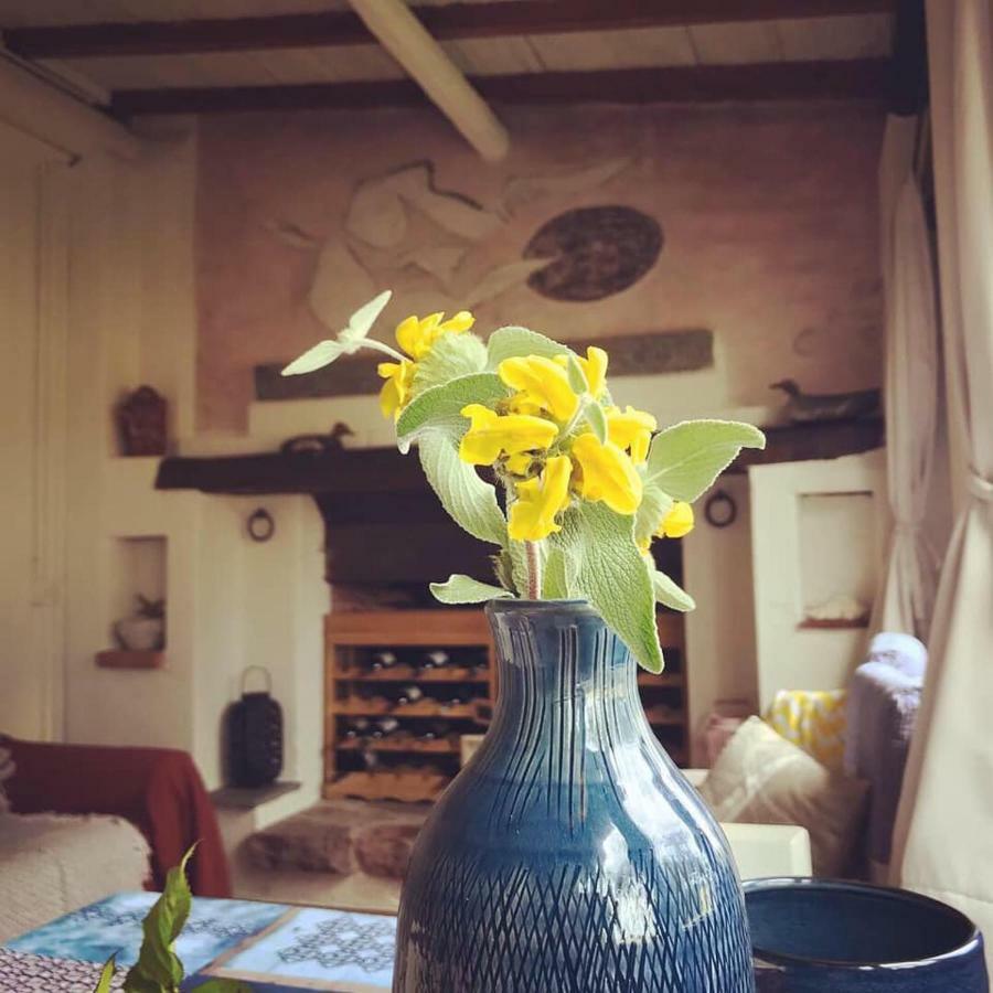 Lo Chalet Dell'Artista トッレ・デル・ラーゴ・プッチーニ エクステリア 写真